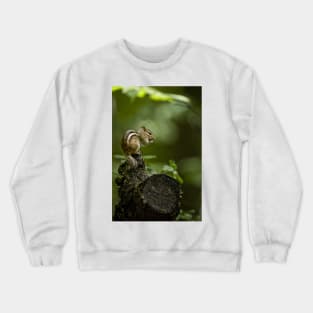 Chipmunk Crewneck Sweatshirt